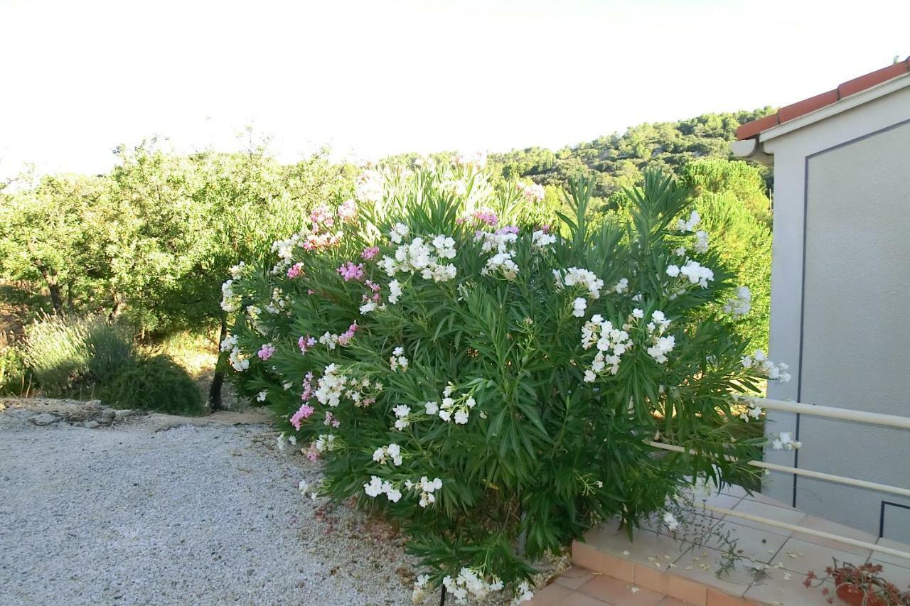 Gite Charlrose At La Platriere Cazedarnes Екстериор снимка